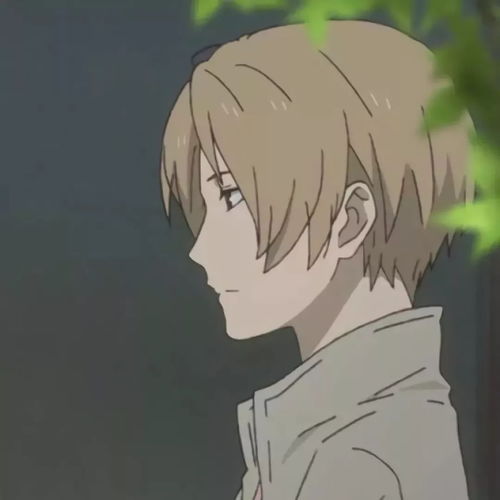 打造個(gè)性視覺空間 動(dòng)漫男生頭像網(wǎng)站的設(shè)計(jì)藝術(shù)與用戶體驗(yàn)